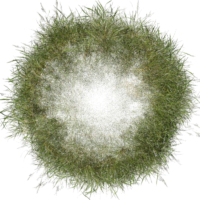 Grassy bubble