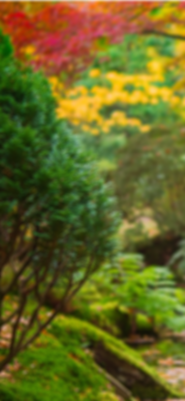 World 1 — Garden